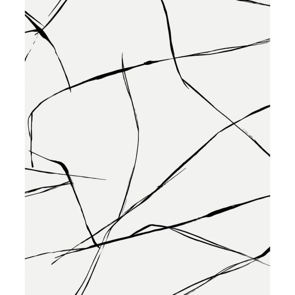 NextWall -  Ebony Inkwork Abstract Premium Peel and Stick Wallpaper